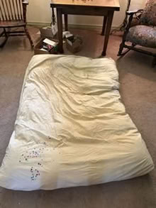 Photo of free Feather bed (Mandeville) #1