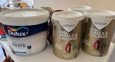 Photo of free Wall and Ceiling Paint (Twerton BA1) #1