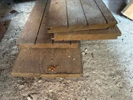 Photo of free Oak floorboards (Malvern WR14) #3