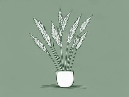 Photo of free Miscanthus sinensis 'Zebrinus' variegated grass (Ponsanooth TR3) #2