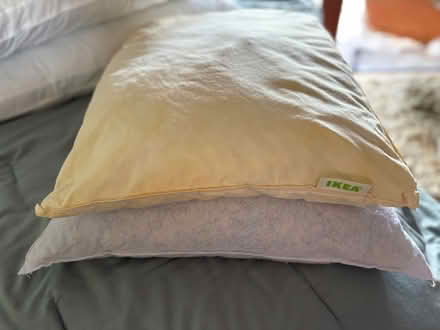 Photo of free 2 Pillows (Mill Valley, CA 94941) #2
