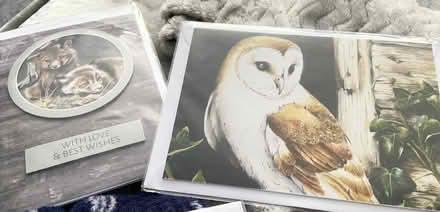 Photo of free Occasion cards (BS6 6DR) #2