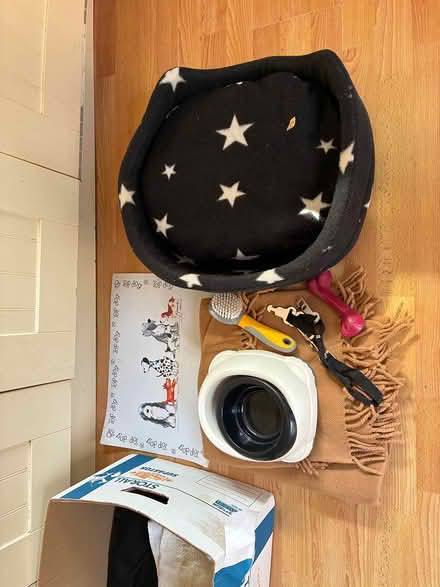 Photo of free Dog blanket and related items (Earlswood RH1) #1