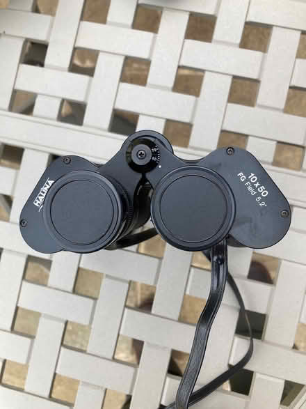 Photo of free Vintage Halina 10x50 binoculars (SN14 Chippenham) #3