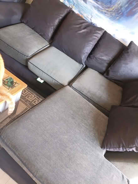 Photo of free L Shaped Sofa (Gosport PO12) #1