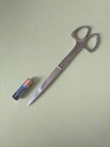Photo of free Long Sharp Scissors (Beulah Hill SE19) #1