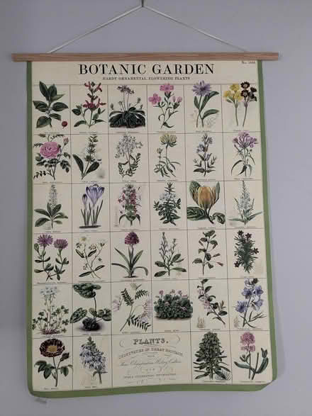 Photo of free Botanic garden poster (Revere) #1