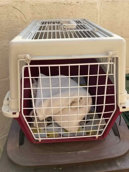 Photo of free Cat travel cage (Whaddon Gloucester GL6) #2