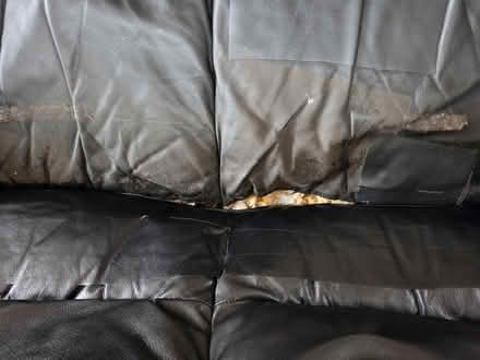 Photo of free 2 seater sofa (Arnold NG5) #2