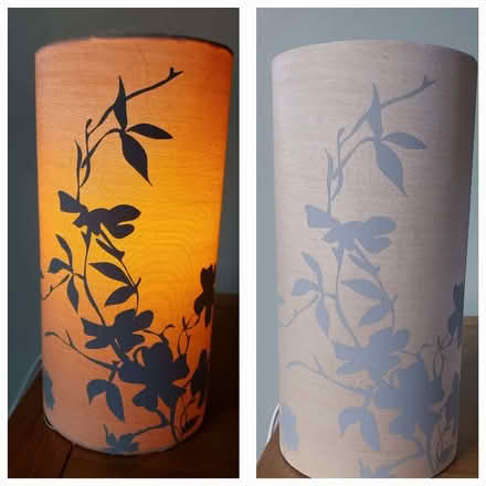 Photo of free Lamp (New Duston NN5) #1