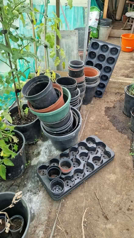 Photo of free Gardens pots (Sunderland SR5) #1