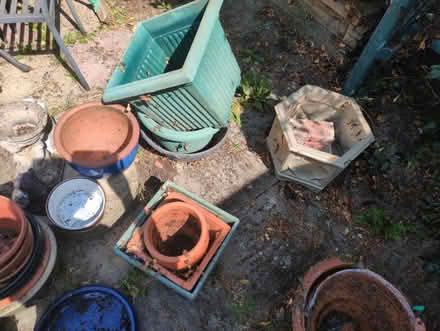 Photo of free Plant Pots (Prestbury GL52) #2