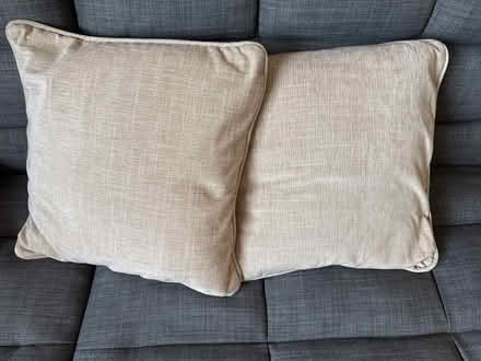 Photo of free Cushions (Liverpool L17) #1