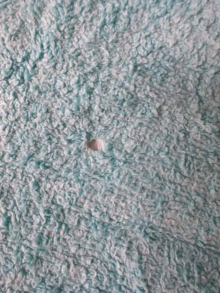 Photo of free Cotton towel (West Norwood SE27) #3