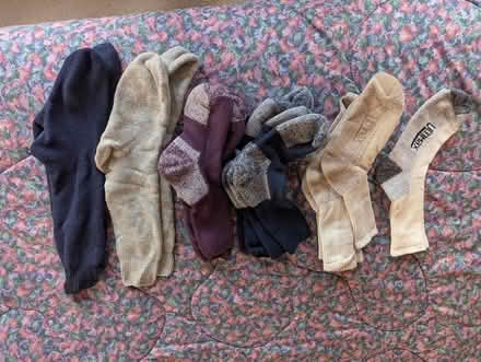 Photo of free Wool socks (West Berkeley) #1