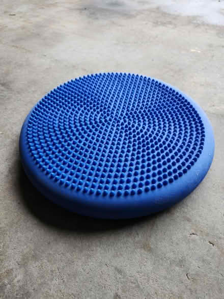 Photo of free Seat Cushion (Granby, MA) #2