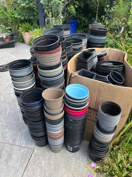 Photo of free Plastic plant pots assorted sizes (Sonning Common RG4) #2