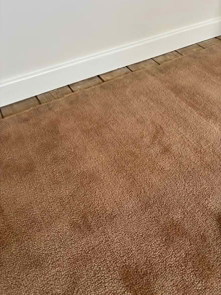 Photo of free Old Carpet For Shed Garage (Cv82pg CV8) #2