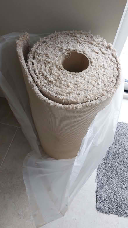 Photo of free Long carpet offcut (Pembury TN2) #1