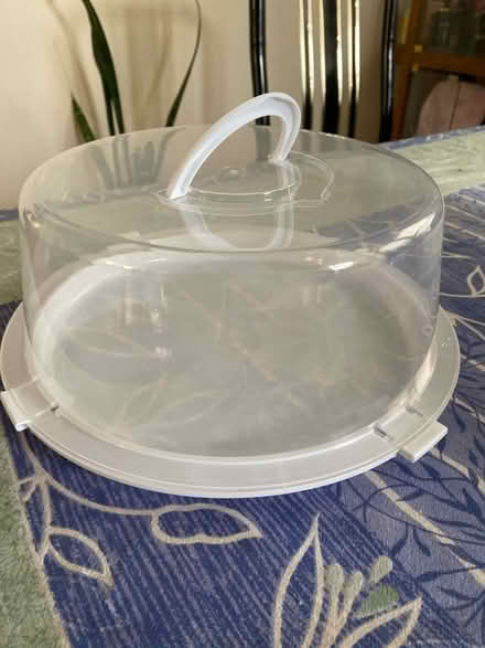 Photo of free Cake carrier (East Somerville) #1
