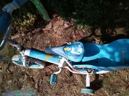 Photo of free Small child Cinderella bike (North Abingdon OX14) #2