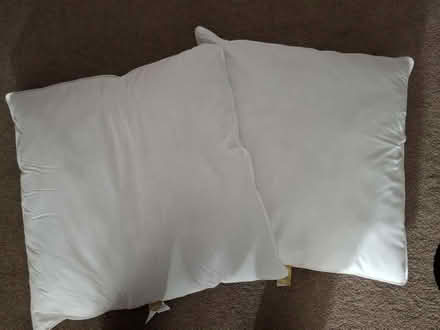 Photo of free 2x cushions/ pillows (St. Albans AL1) #1