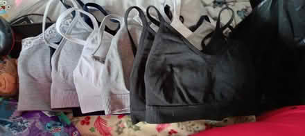 Photo of free Xs bralettes (Tudeley TN11) #2