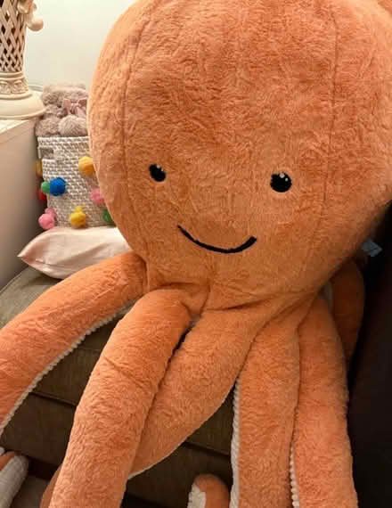Photo of free Giant octopus toy (Olympia W14) #2
