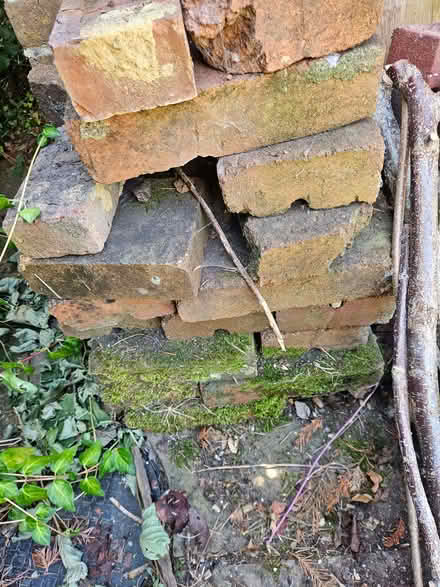 Photo of free pile of various bricks (Ringmer BN8) #4