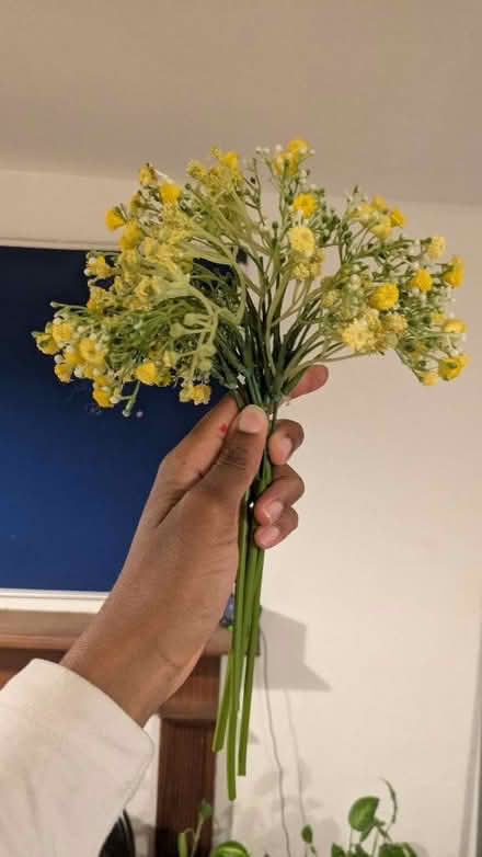 Photo of free Artificial flowers (Oxford OX4) #1
