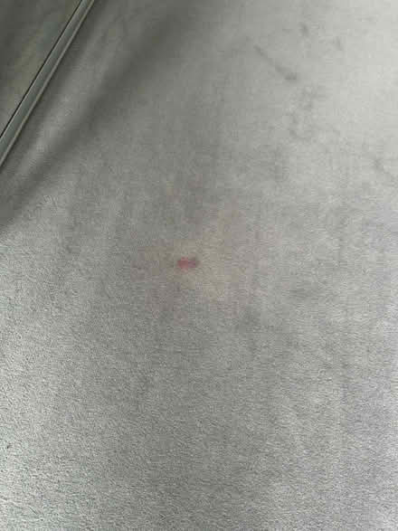Photo of free Wool carpet grey (Loughton IG10) #3