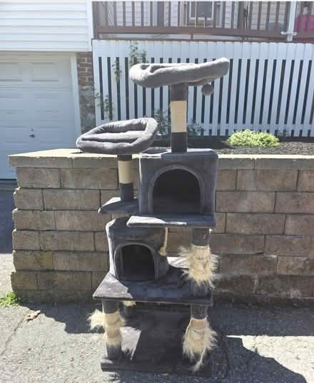 Photo of free large cat tree (Woburn cinemas rte 38) #1