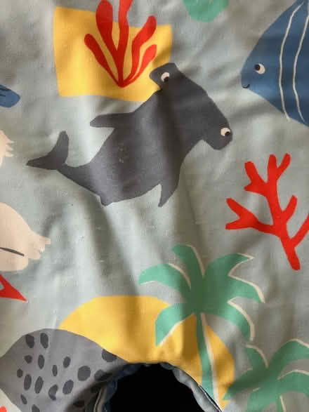 Photo of free Swim suit 9-12 months (University Area RG1) #4