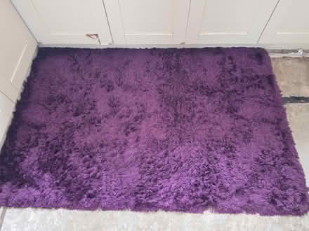 Photo of free Purple Rug (Arnold NG5) #1