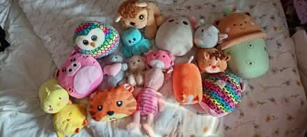 Photo of free Soft toys squish mellows (Tudeley TN11) #1