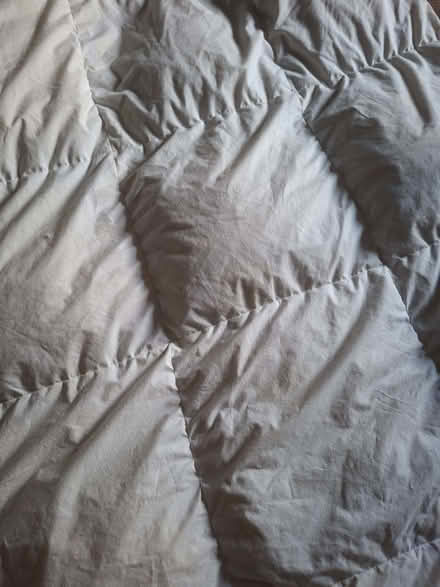 Photo of free Feather and Down Duvet (Morland CA10) #2
