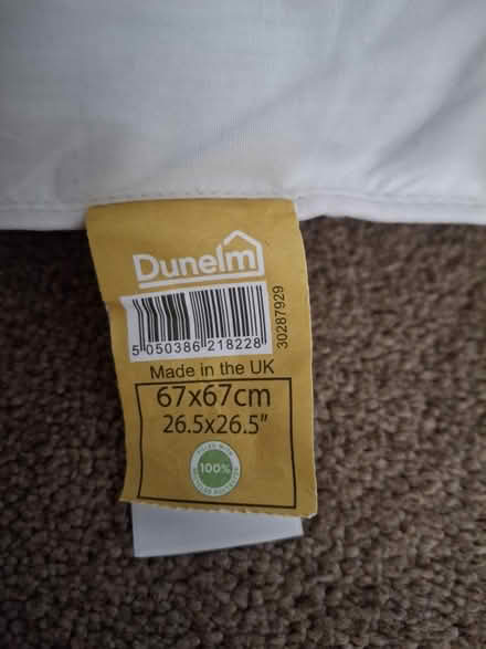 Photo of free 2x cushions/ pillows (St. Albans AL1) #2