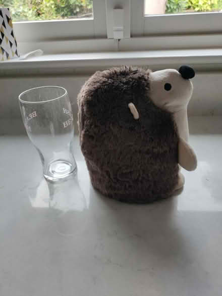 Photo of free Door Stop (South Dublin / Bray) #2