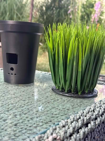 Photo of free 🎥RING Spycam Plant pot decoy (Chipping Barnet EN5) #2