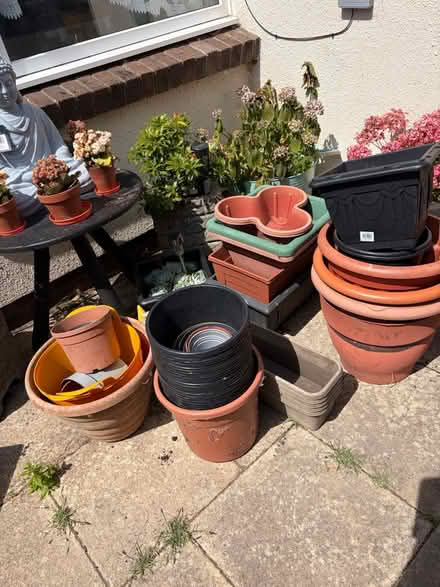 Photo of free Plant pots (Brixham) #1
