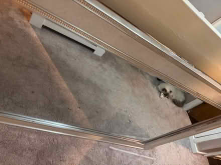 Photo of free Very large silver diamanté mirror (Seaforth L21) #1