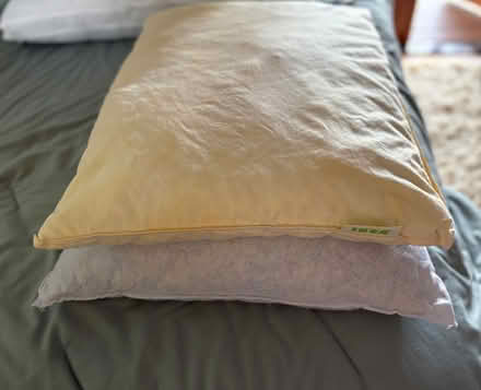 Photo of free 2 Pillows (Mill Valley, CA 94941) #1