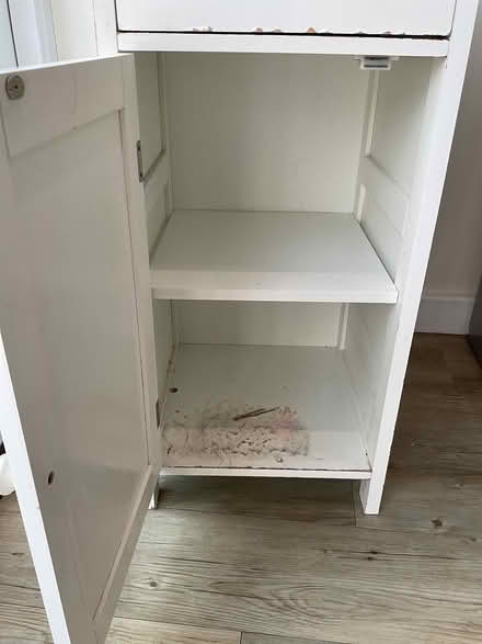 Photo of free White cabinet (St. Albans AL1) #3