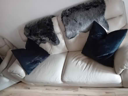 Photo of free 3-1-1 leather sofa (Baldoyle) #4