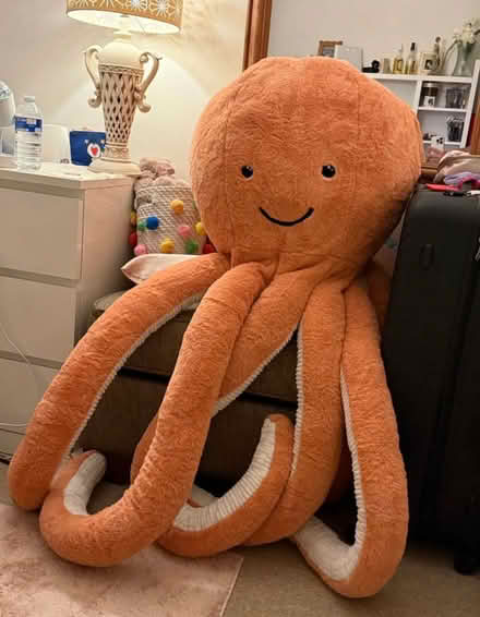 Photo of free Giant octopus toy (Olympia W14) #1