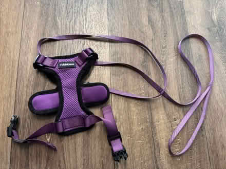 Photo of free Purple cat harness and lead (Lords Wood ME5) #2