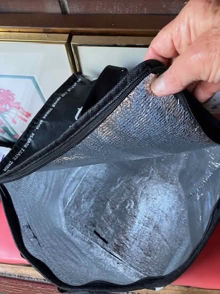 Photo of free large insulated bag (Las Palmas Pk, Snvle) #2
