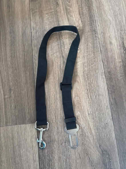 Photo of free Dog car seatbelt attachment (Lords Wood ME5) #1