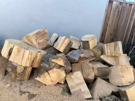 Photo of free fire wood (95111) #2