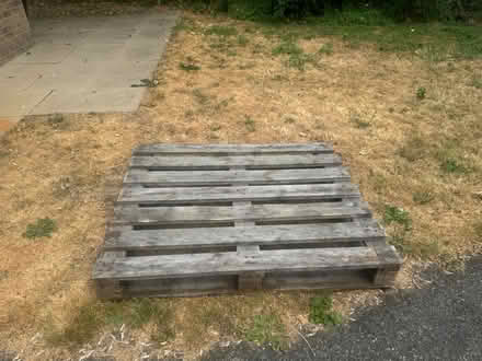 Photo of free Wooden pallet (portslade bn41) #2